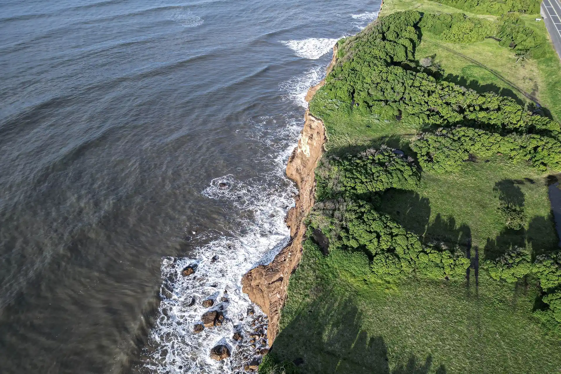 Olas comunidad oceánica - Mar del Plata