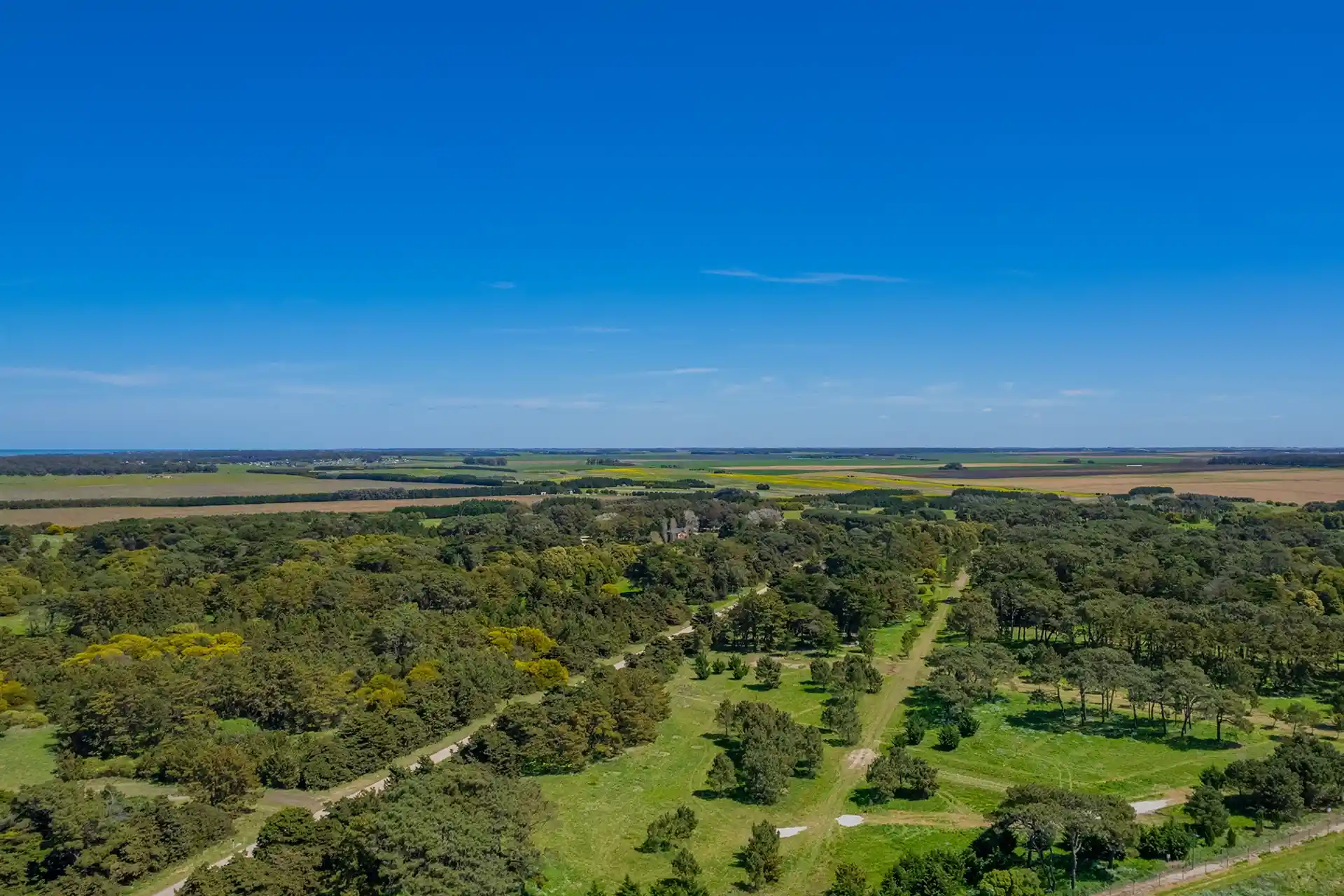 Olas comunidad oceánica - Mar del Plata