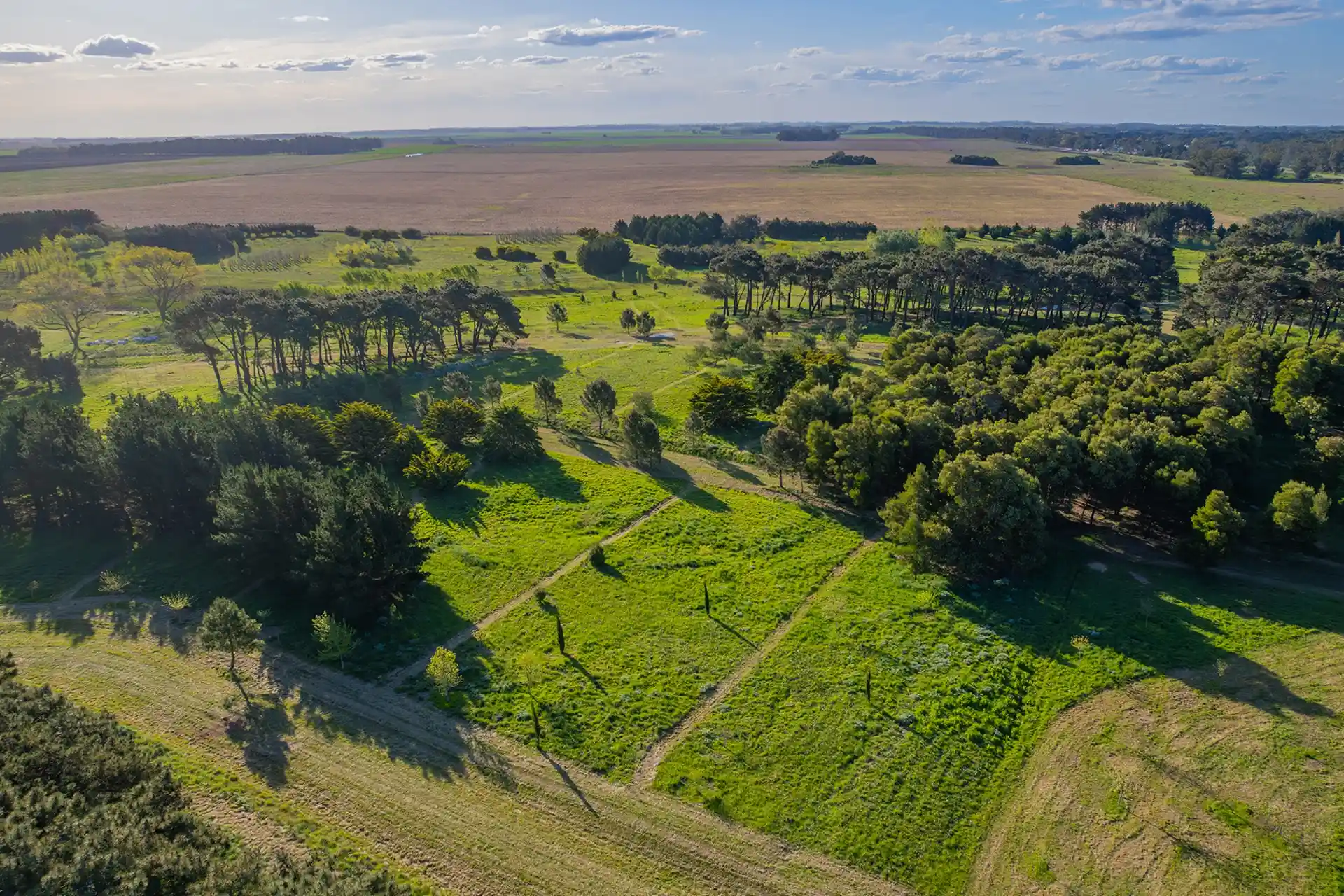 Olas comunidad oceánica - Mar del Plata