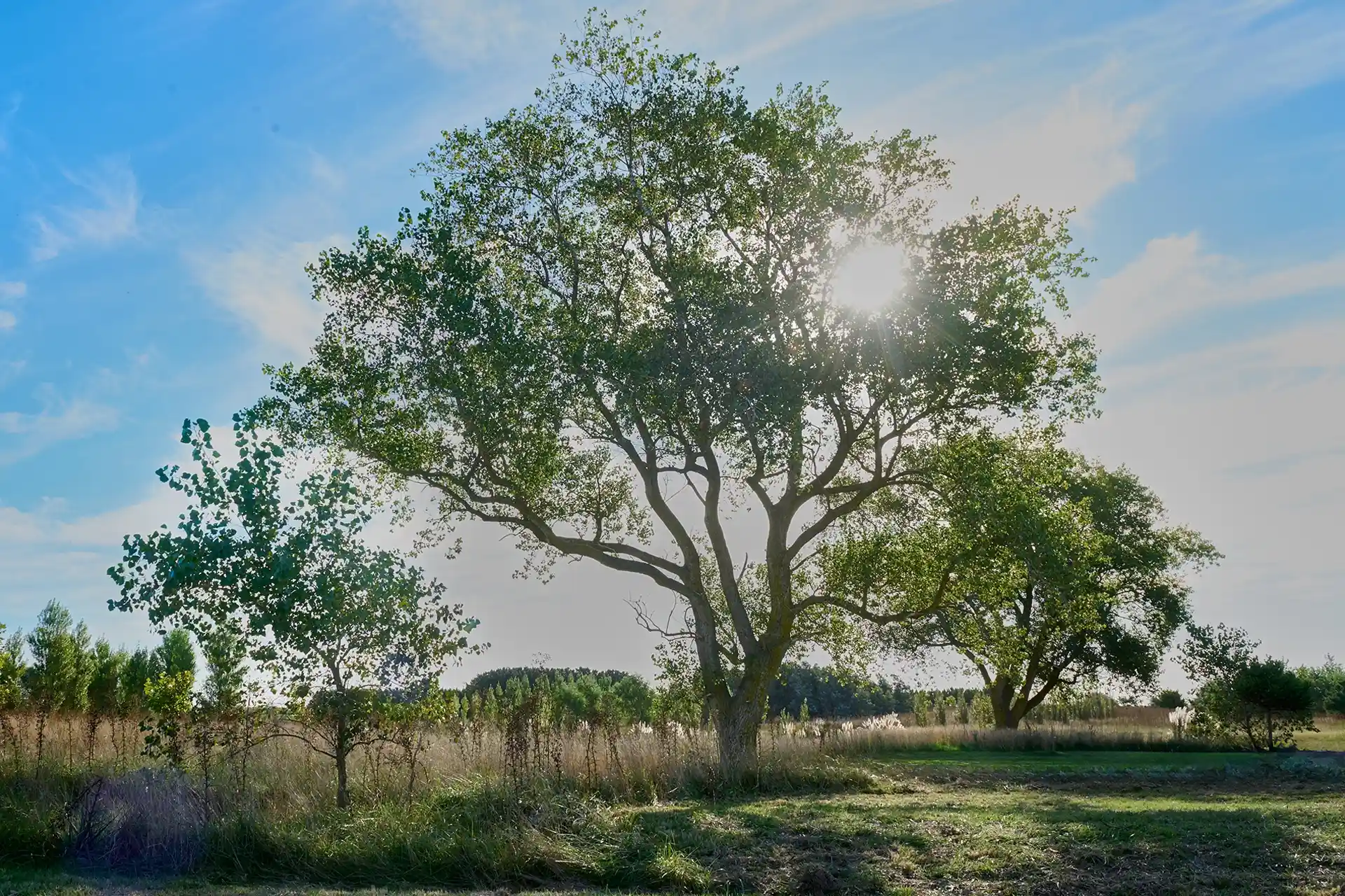 Olas comunidad oceánica - Mar del Plata